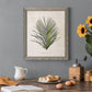 Palm Botanical I - Premium Canvas Framed in Barnwood - Ready to Hang