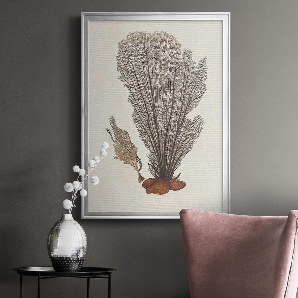 Knorr Shells & Coral III - Modern Framed Canvas Print