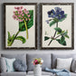 Set of two black barnwood framed canvas prints depicting paired antique botanical plate illustrations with detailed blossoms, leaves, roots, and archival cream grounds above a sofa in a contemporary living room.