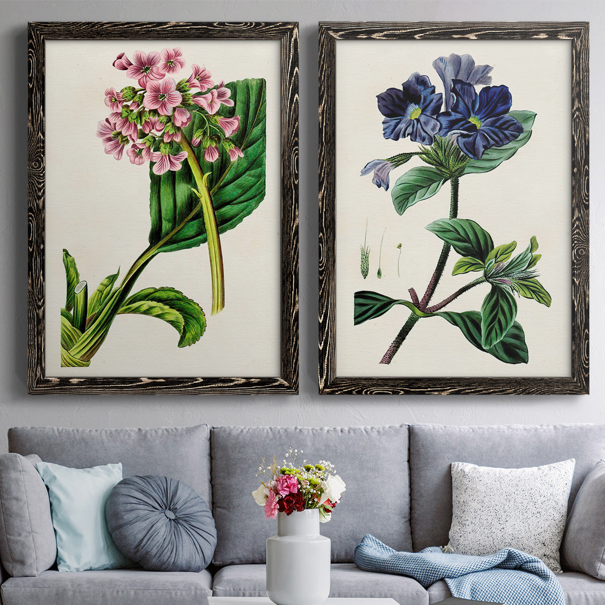 Set of two black barnwood framed canvas prints depicting paired antique botanical plate illustrations with detailed blossoms, leaves, roots, and archival cream grounds above a sofa in a contemporary living room.