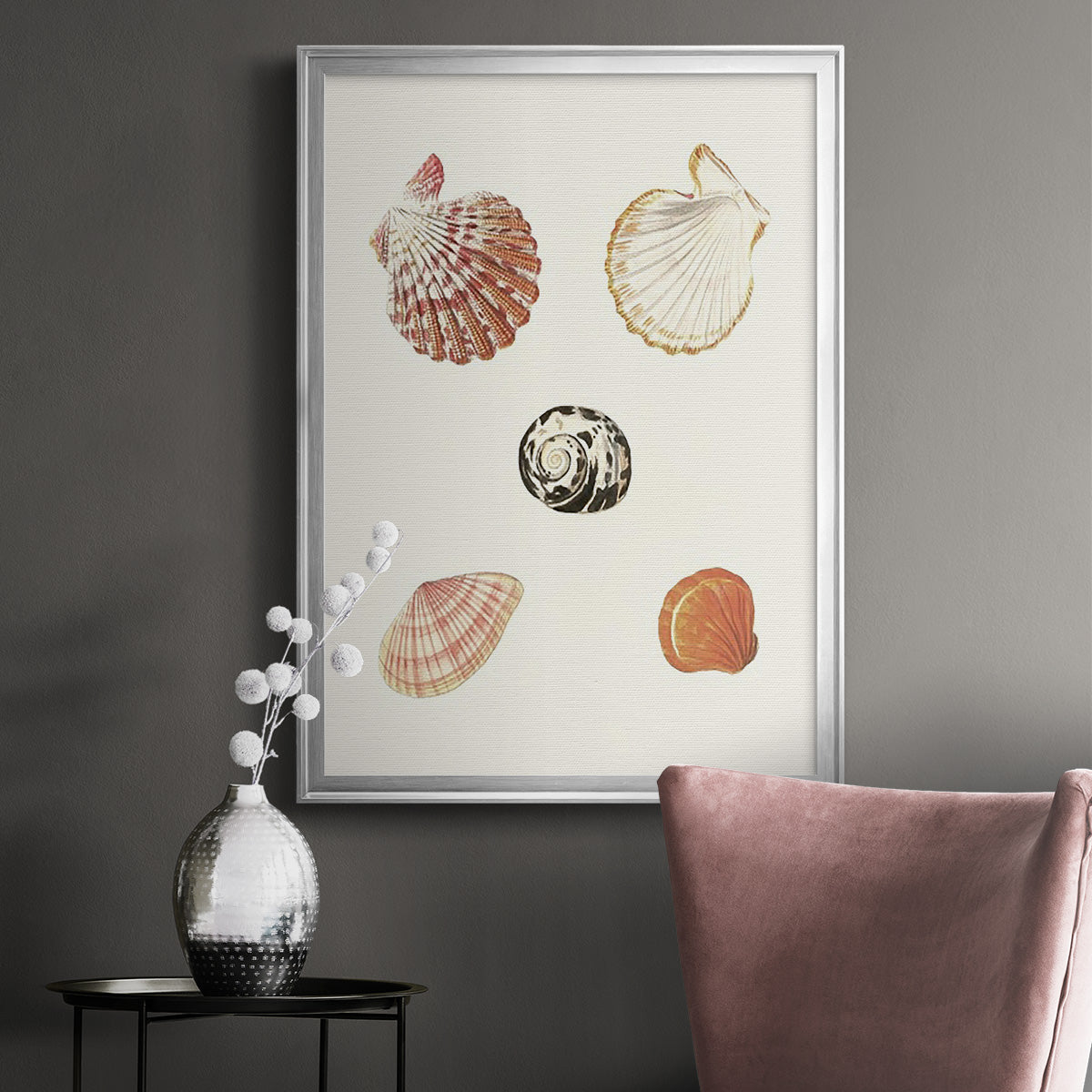 Pastel Knorr Shells VIII - Modern Framed Canvas Print