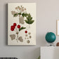 Leaves & Berries III - Canvas Art Print