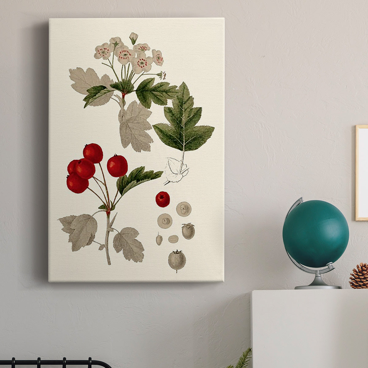 Leaves & Berries III - Canvas Art Print