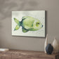 Speckled Freshwater Fish II - Canvas Art Print