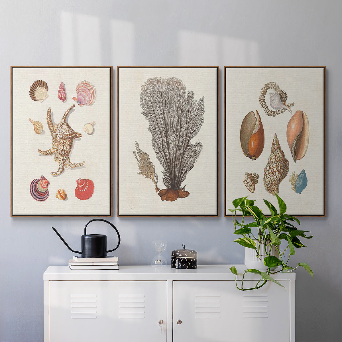 Knorr Shells & Coral I - Framed Premium Gallery Wrapped Canvas L Frame 3 Piece Set - Ready to Hang