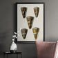 Cone Shell Collection V - Modern Framed Canvas Print