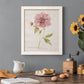 Soft Peony - Premium Canvas Framed in Barnwood - Ready to Hang