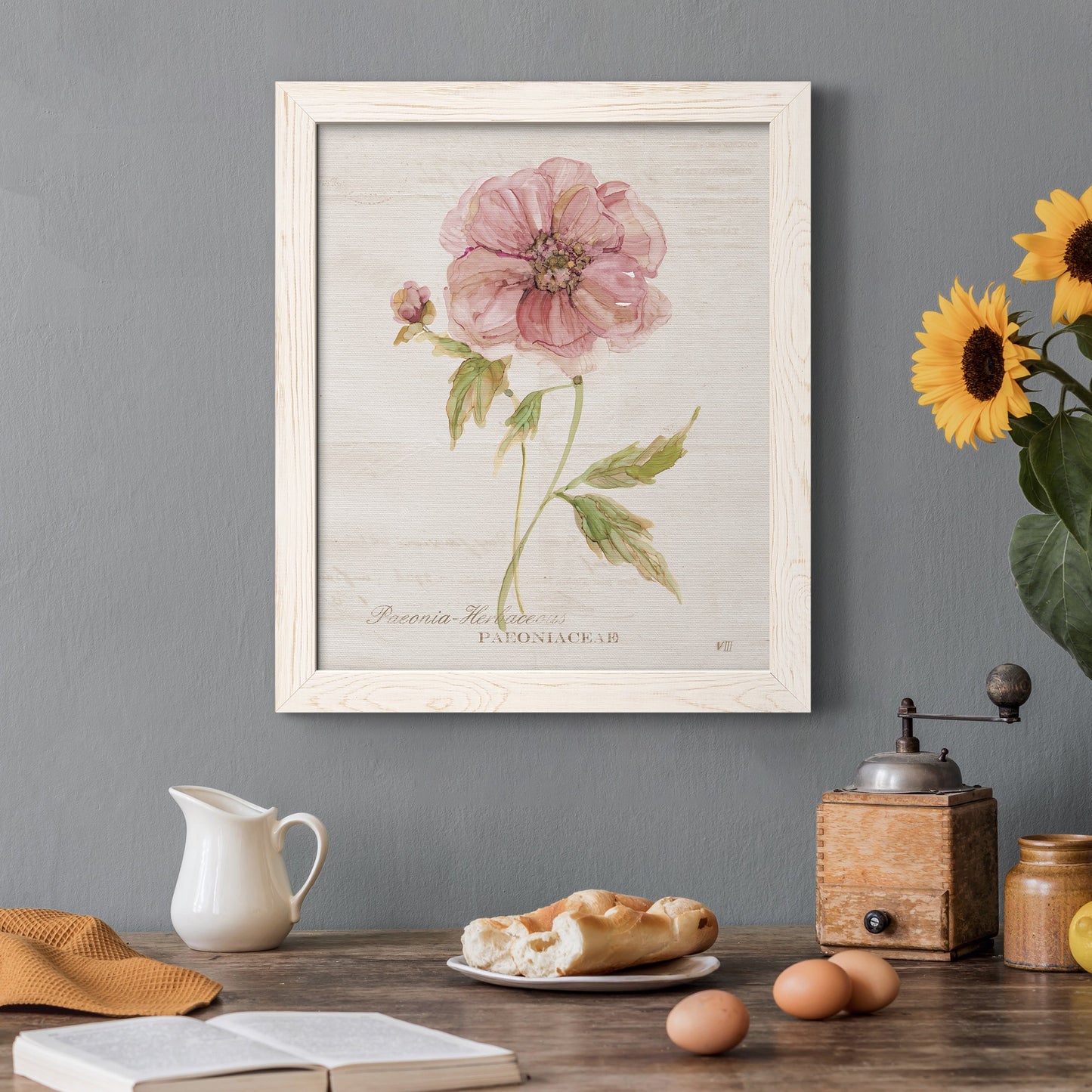 Soft Peony - Premium Canvas Framed in Barnwood - Ready to Hang