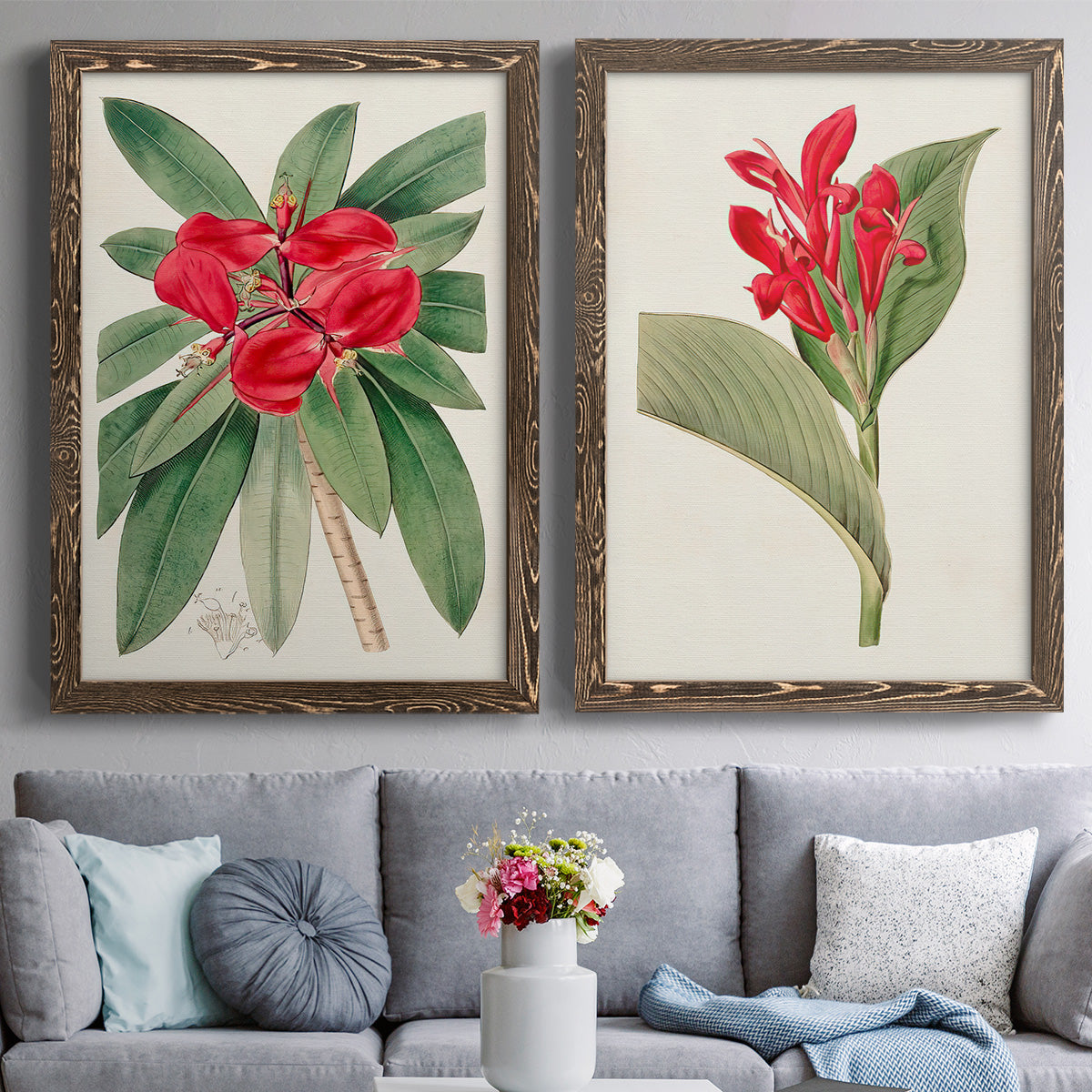 Set of two walnut barnwood framed canvas prints depicting paired antique botanical plate illustrations with large green leaves, red blossoms, and archival cream paper above a sofa in a contemporary living room.