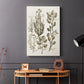 Sepia Botanical Journal VIII - Canvas Art Print