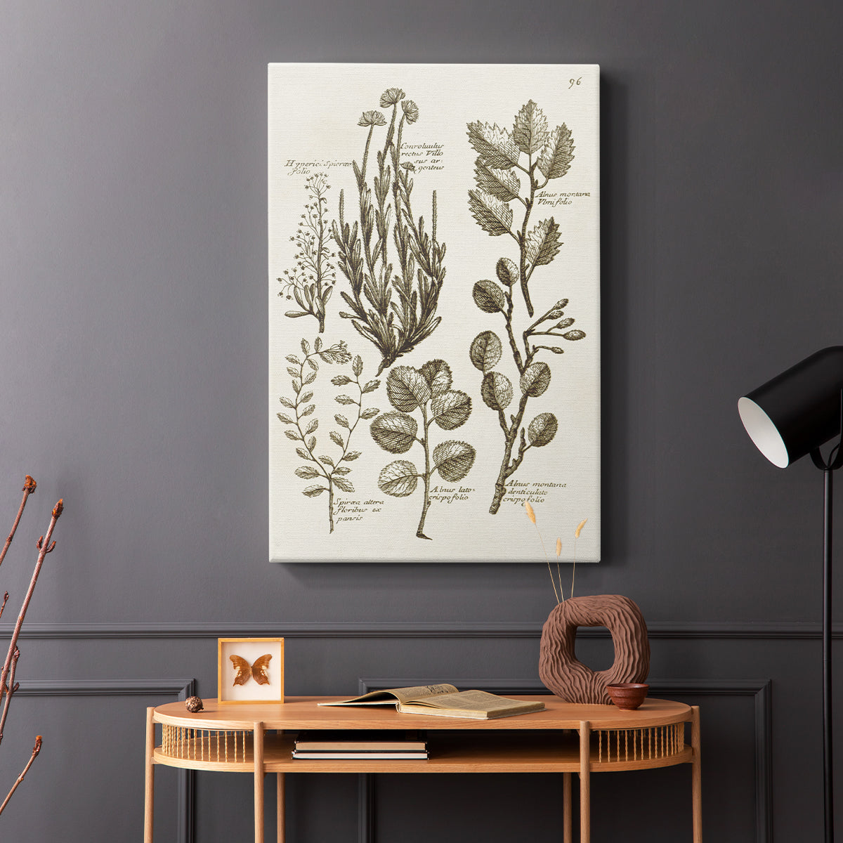 Sepia Botanical Journal VIII - Canvas Art Print