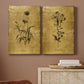 Gold Sketch Botanical I Premium Gallery Wrapped Canvas - Ready to Hang - Set of 2 - 8 x 12 Each