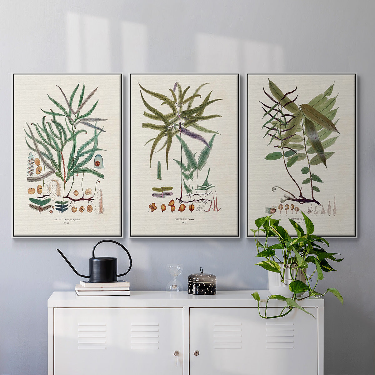 Botanical Society Ferns VI - Framed Premium Gallery Wrapped Canvas L Frame 3 Piece Set - Ready to Hang