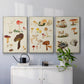 Mushroom Species VI - Framed Premium Gallery Wrapped Canvas L Frame 3 Piece Set - Ready to Hang