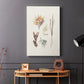 Knorr Shells & Coral VII - Canvas Art Print