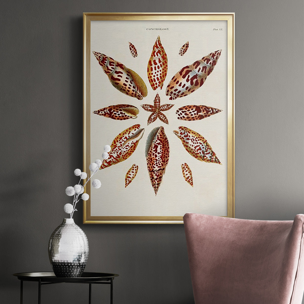 Spiral Shell Formation I - Modern Framed Canvas Print