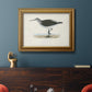 Morris Sandpipers VI Premium Framed Canvas- Ready to Hang