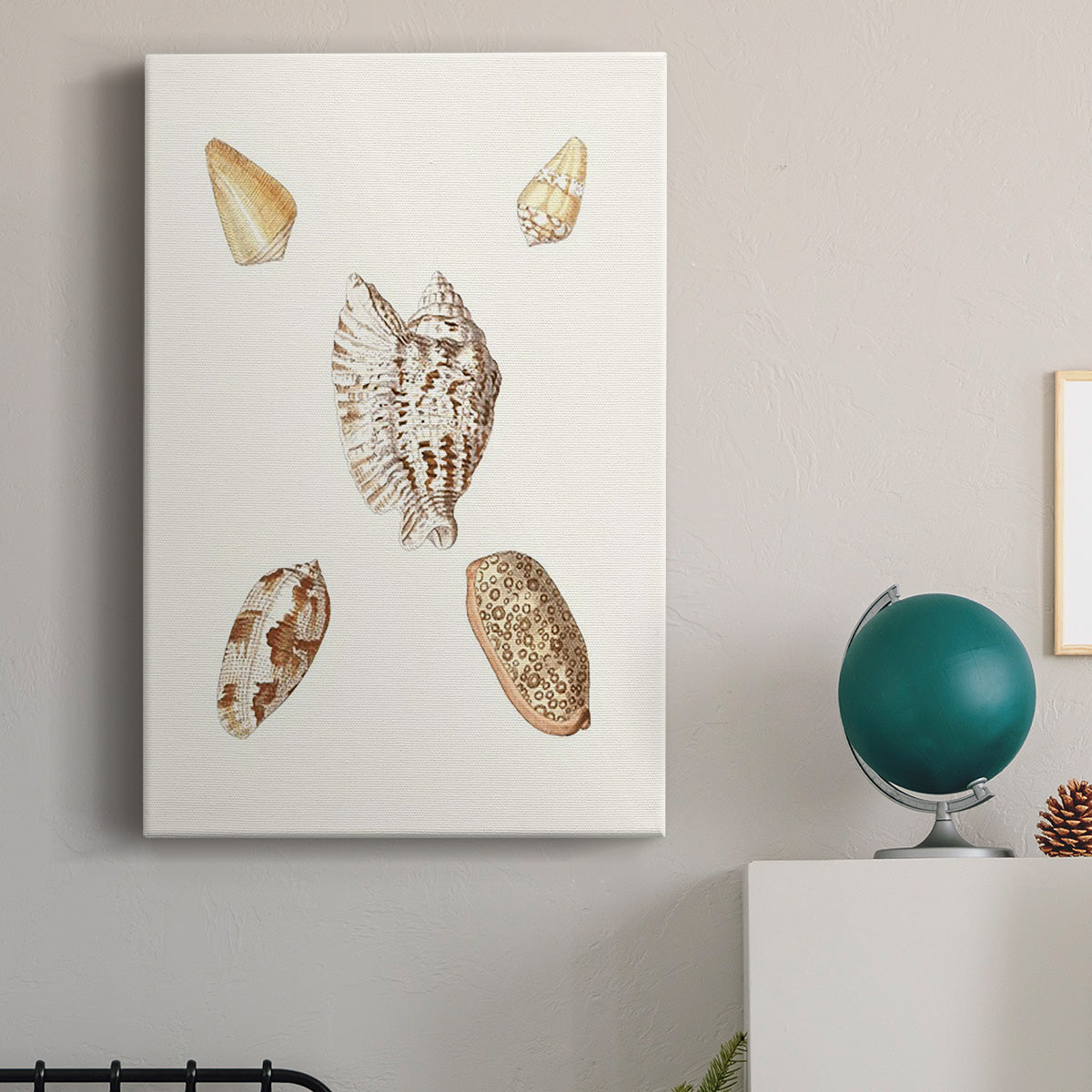 Pastel Knorr Shells VI - Canvas Art Print