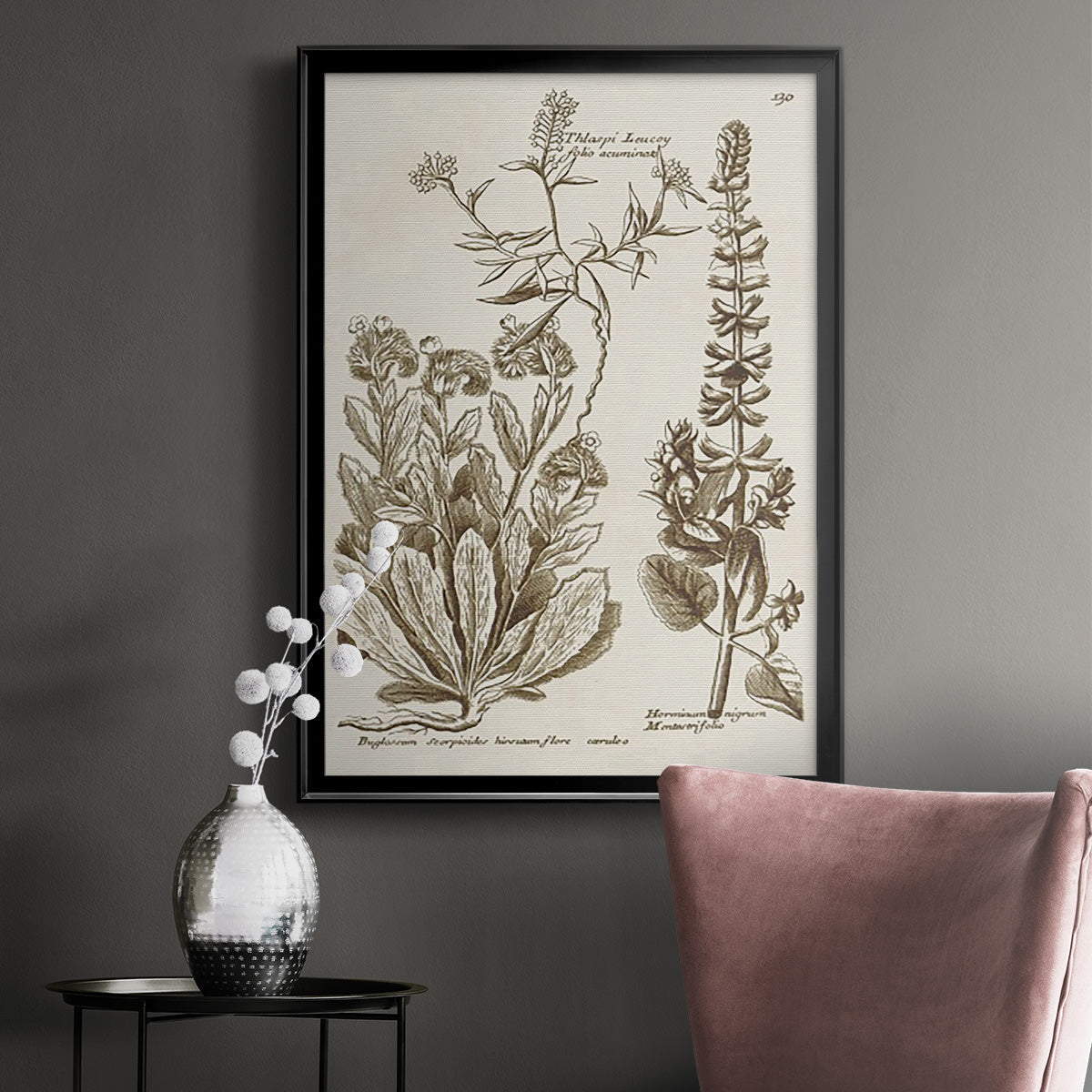 Sepia Botanical Journal IV - Modern Framed Canvas Print