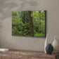 Calm of the Forest - Canvas Art Print