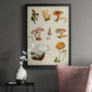 Mushroom Species VI - Modern Framed Canvas Print