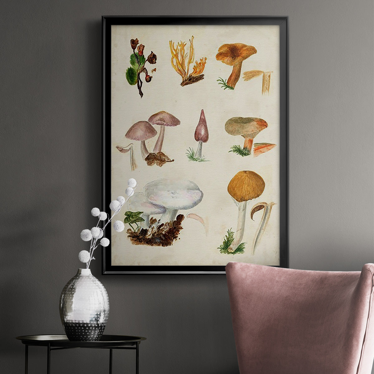 Mushroom Species VI - Modern Framed Canvas Print