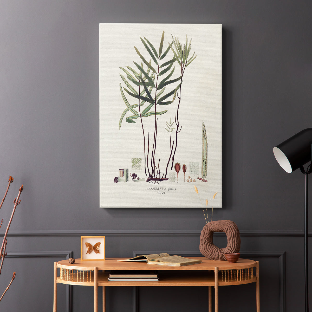 Botanical Society Ferns XI - Canvas Art Print