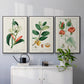 Turpin Tropical Botanicals IV - Framed Premium Gallery Wrapped Canvas L Frame 3 Piece Set - Ready to Hang