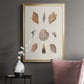 Knorr Shells & Coral VI - Modern Framed Canvas Print