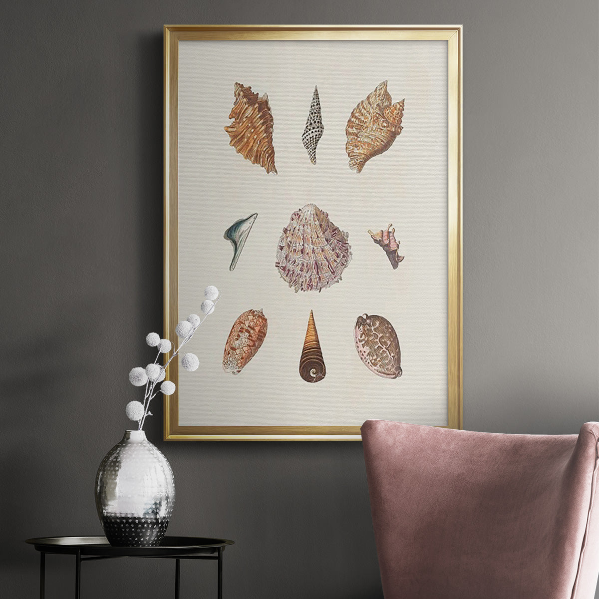 Knorr Shells & Coral VI - Modern Framed Canvas Print