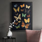 Collected Flutter III - Modern Framed Canvas Print