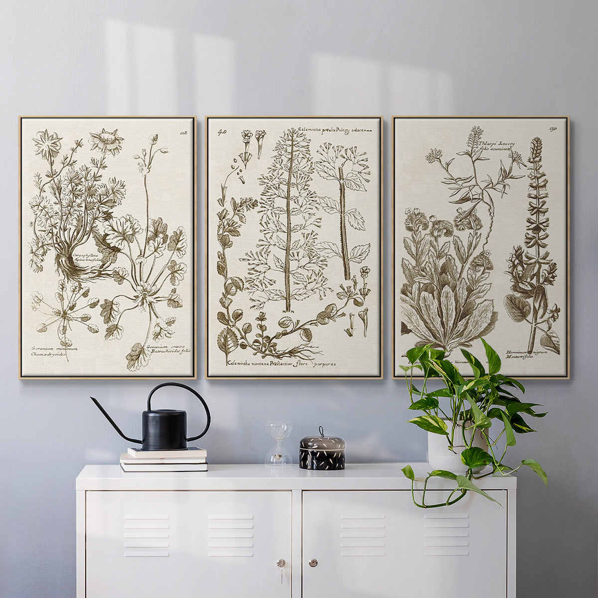 Sepia Botanical Journal IV - Framed Premium Gallery Wrapped Canvas L Frame 3 Piece Set - Ready to Hang