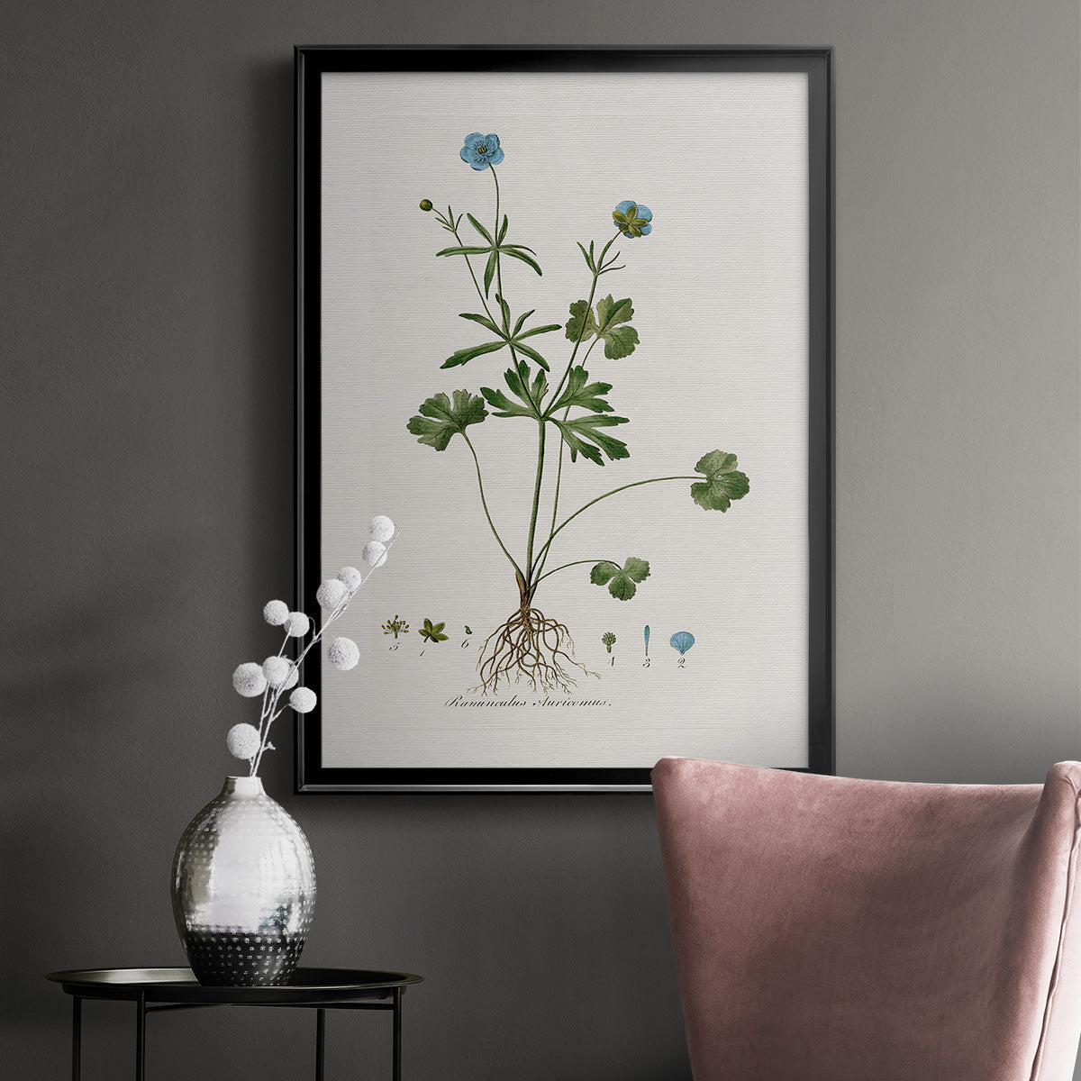 Buttercup Study - Modern Framed Canvas Print