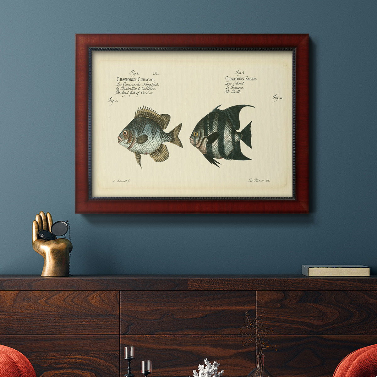 Bloch Antique Fish II Premium Framed Canvas- Ready to Hang