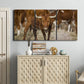 Three-panel canvas wall art featuring longhorn cattle standing together, displayed above a cabinet in an entryway.