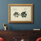 Bloch Antique Fish II Premium Framed Canvas- Ready to Hang