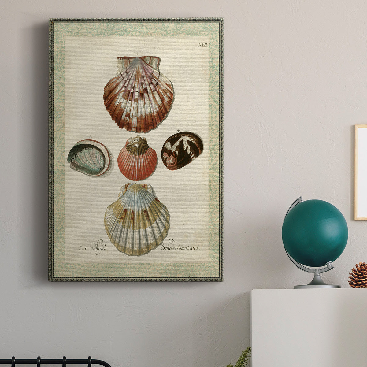 Bookplate Shells III Premium Gallery Wrapped Canvas - Ready to Hang