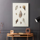 Knorr Shells & Coral IX - Canvas Art Print