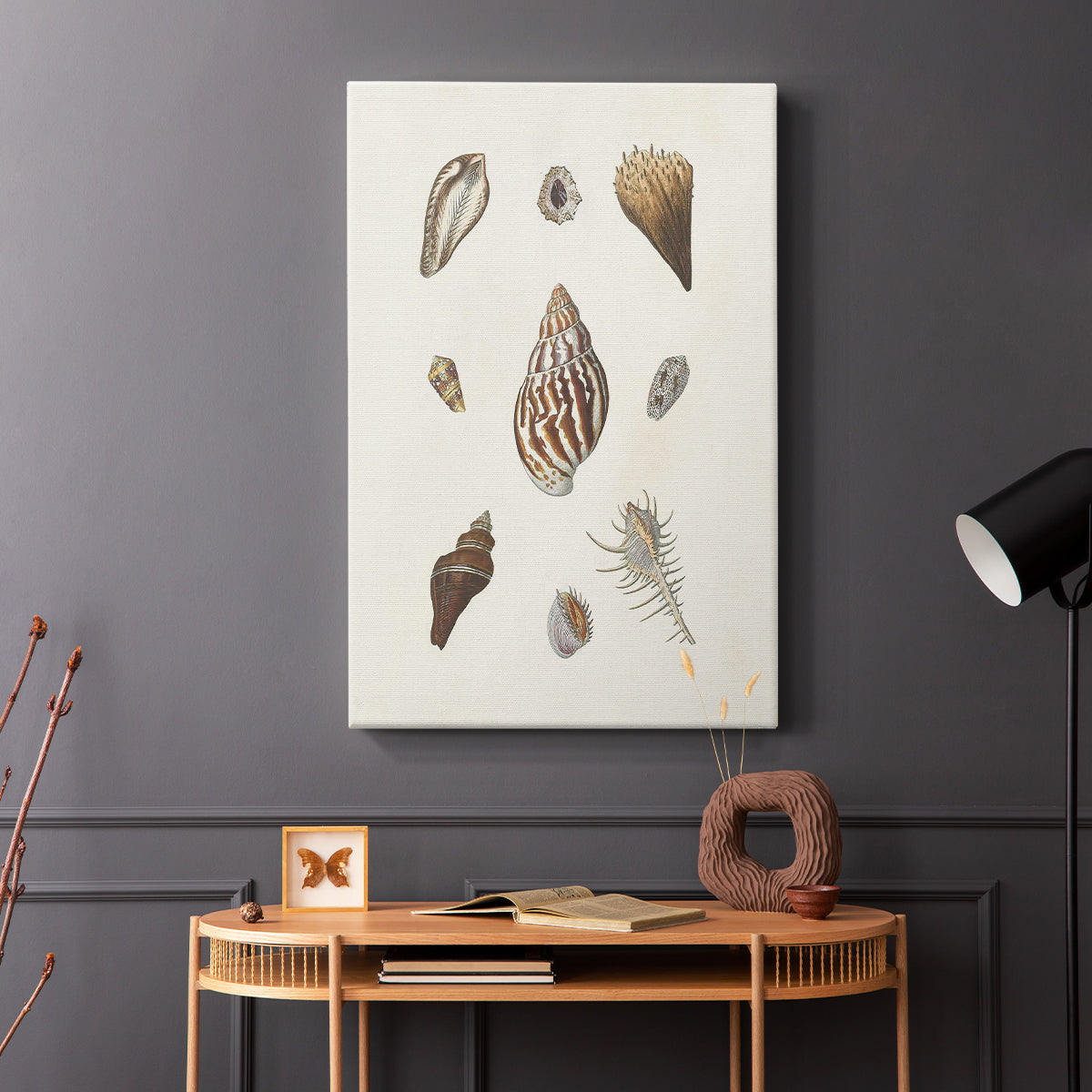 Knorr Shells & Coral IX - Canvas Art Print