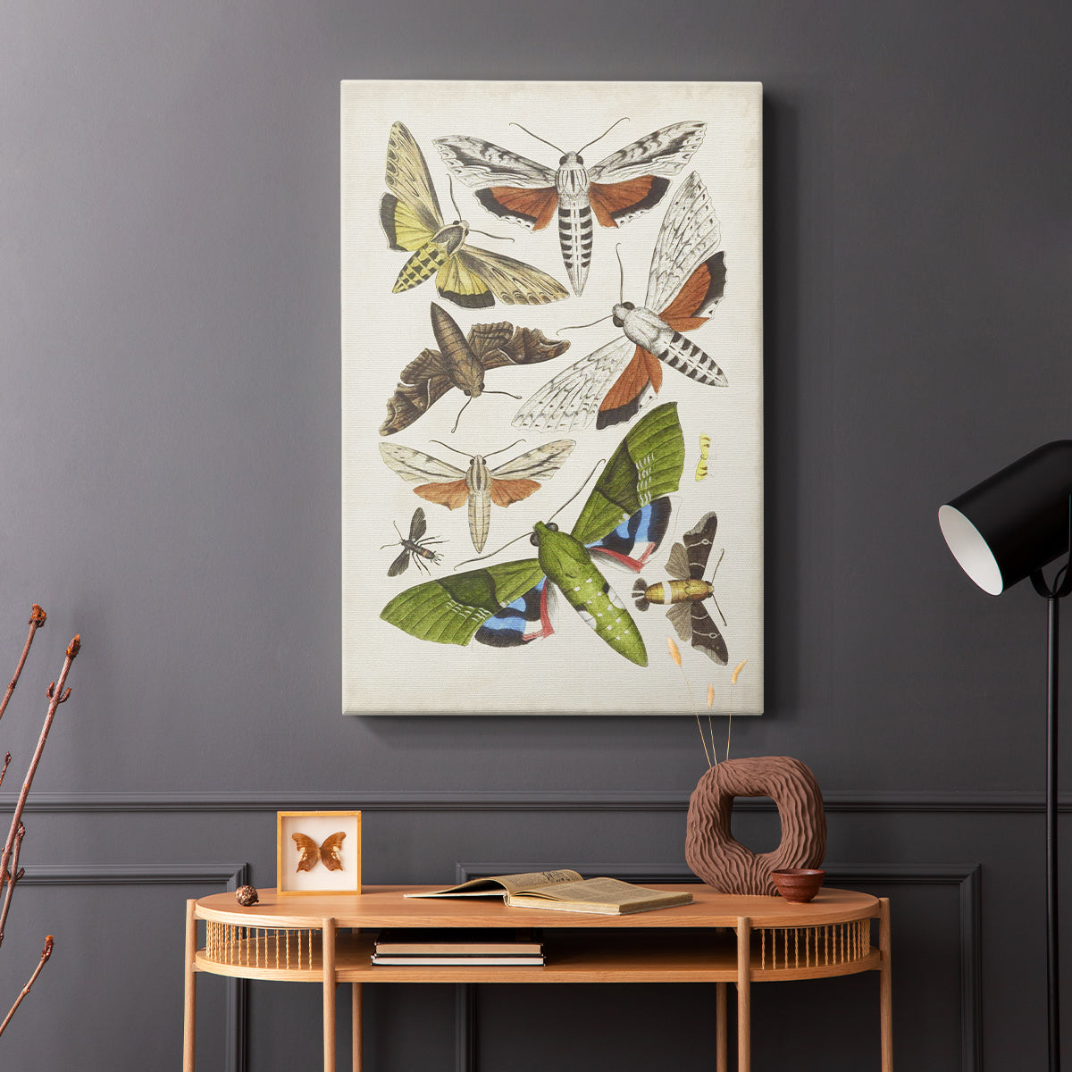 Antique Moths II - Canvas Art Print