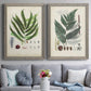 Set of two gray barnwood framed canvas prints depicting paired natural-history fern plates with varied green fronds, roots, spores, and archival labels above a sofa in a contemporary living room.