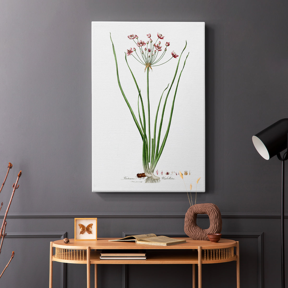 Rose Botanical II - Canvas Art Print