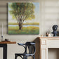 Shade Tree I-Premium Gallery Wrapped Canvas - Ready to Hang