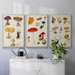 Mushroom Species VI - Framed Premium Gallery Wrapped Canvas L Frame 3 Piece Set - Ready to Hang