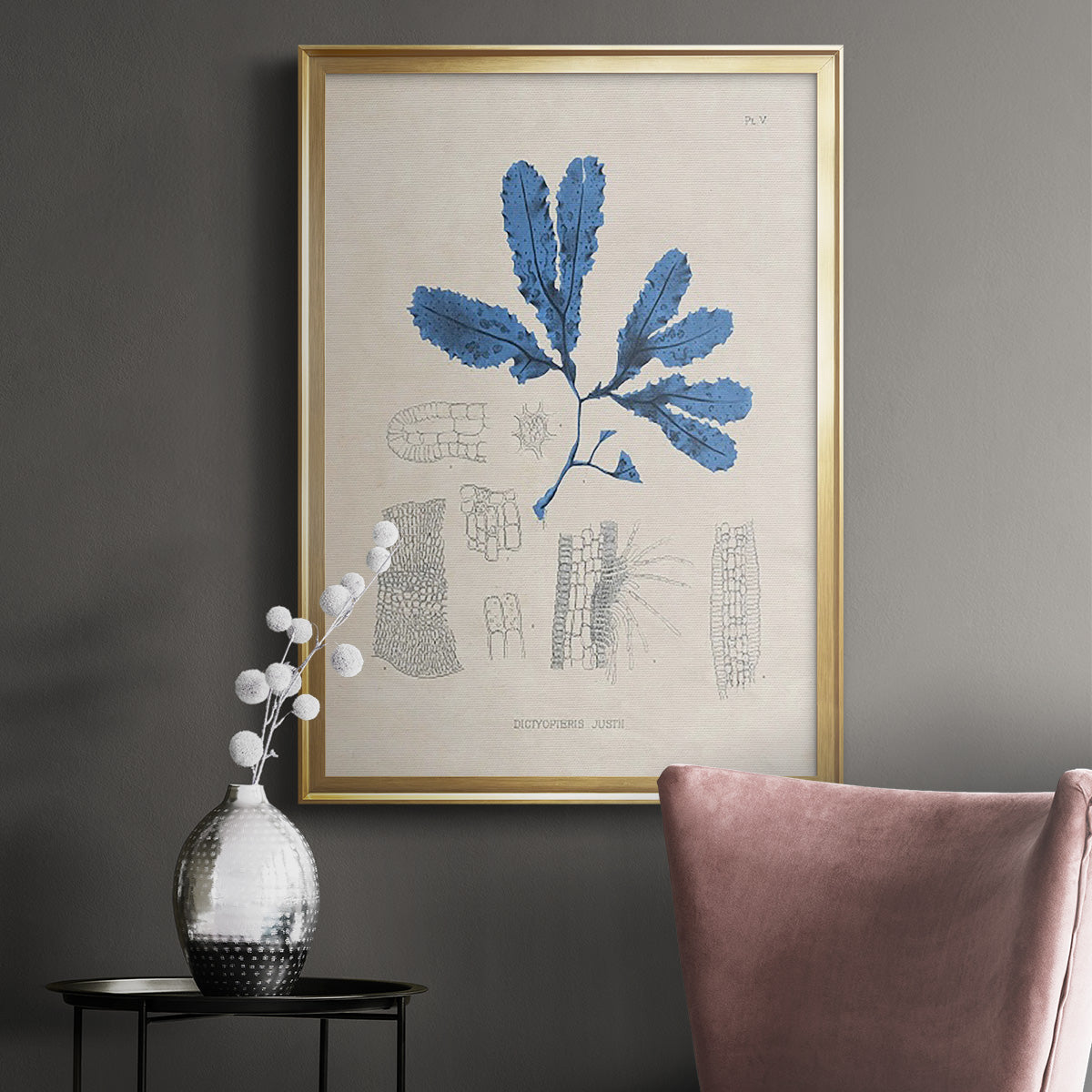 Blue Marine Algae VII - Modern Framed Canvas Print