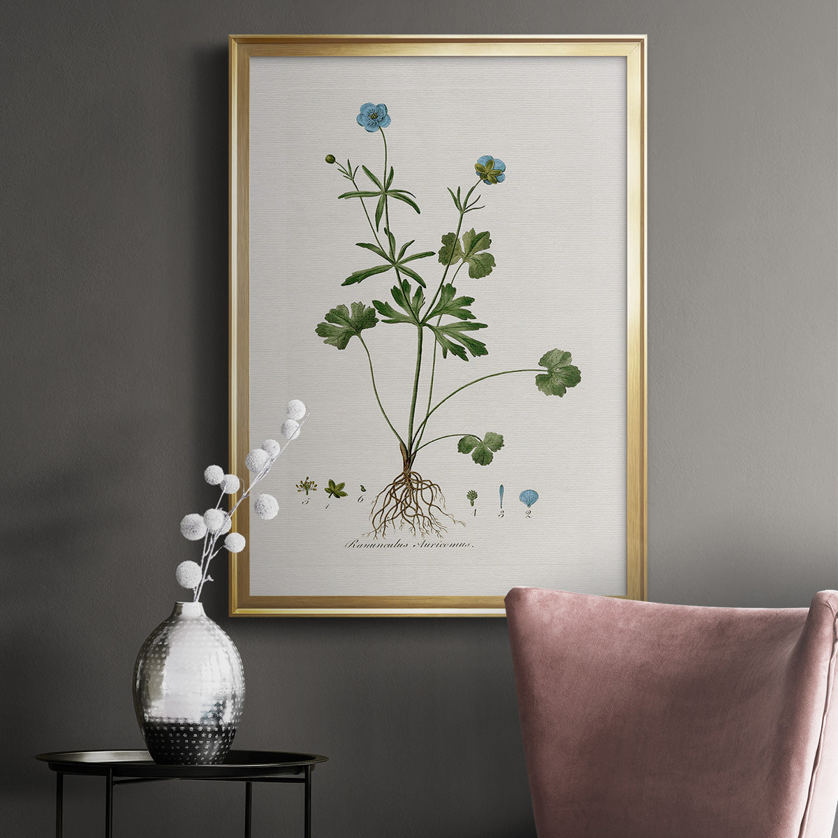 Buttercup Study - Modern Framed Canvas Print