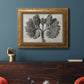 Blossfeldt Botanical VIII Premium Framed Canvas- Ready to Hang