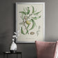 Antique Almond Botanical IV - Modern Framed Canvas Print