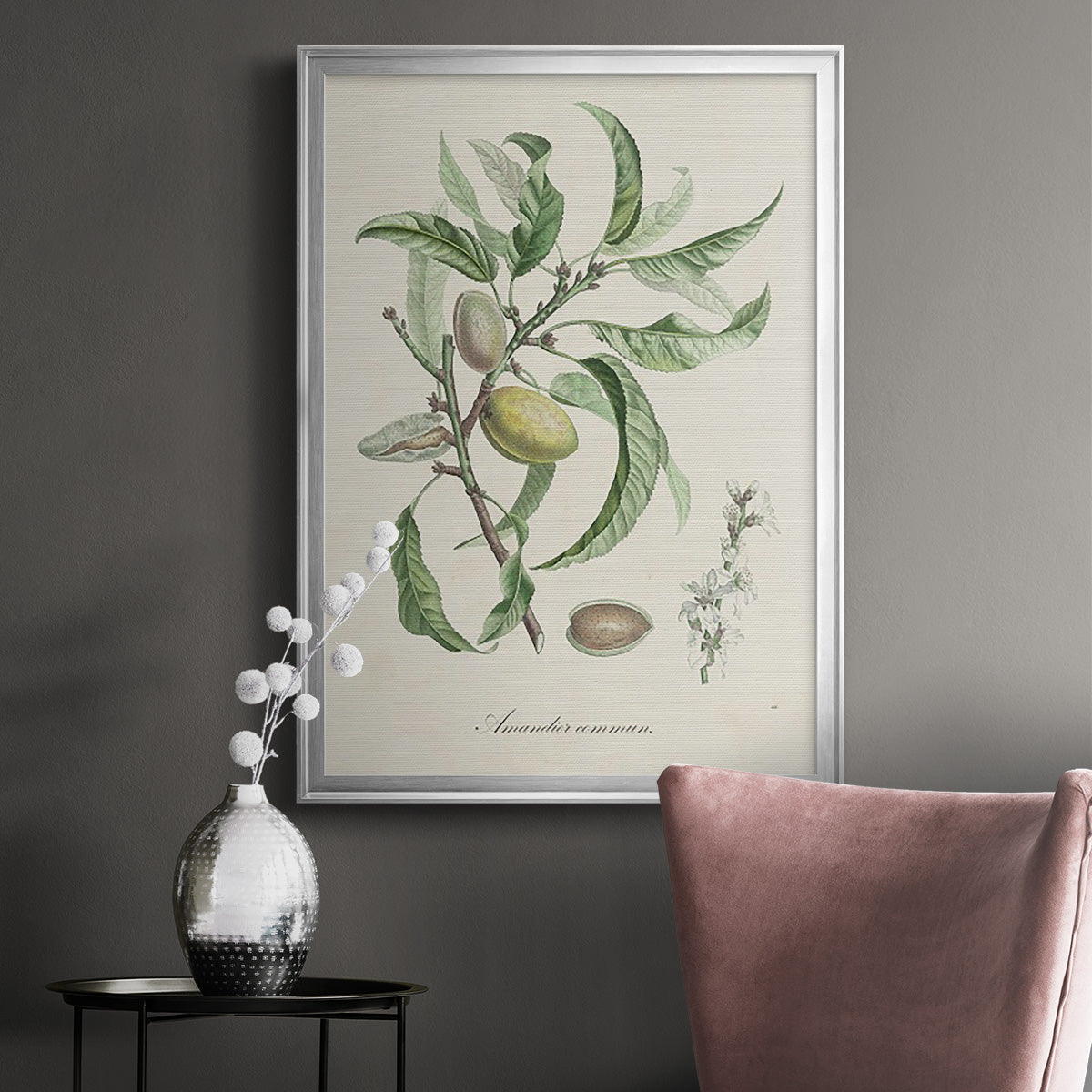 Antique Almond Botanical IV - Modern Framed Canvas Print