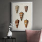 Cone Shell Collection II - Modern Framed Canvas Print